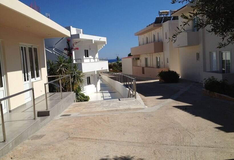 Amaryllis Front Beach