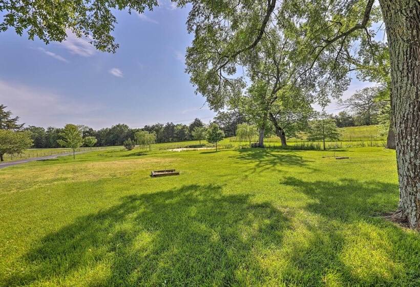 Eureka Springs Area Cabin W/ Deck + 7 Acres!