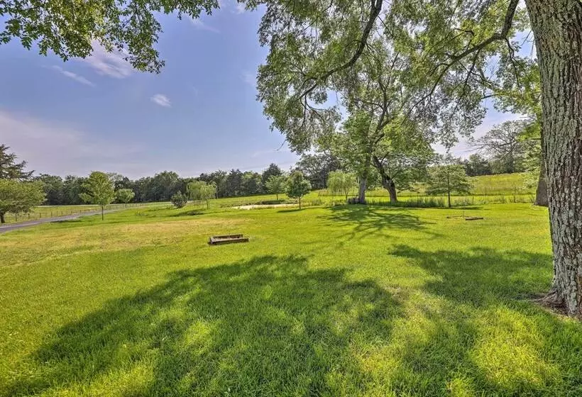 Eureka Springs Area Cabin W/ Deck + 7 Acres!