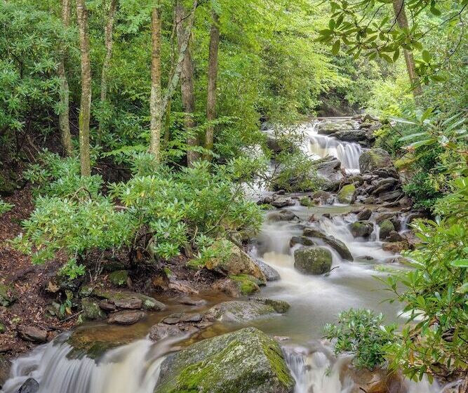 Celo Cabin W/ Deck In Pisgah National Forest