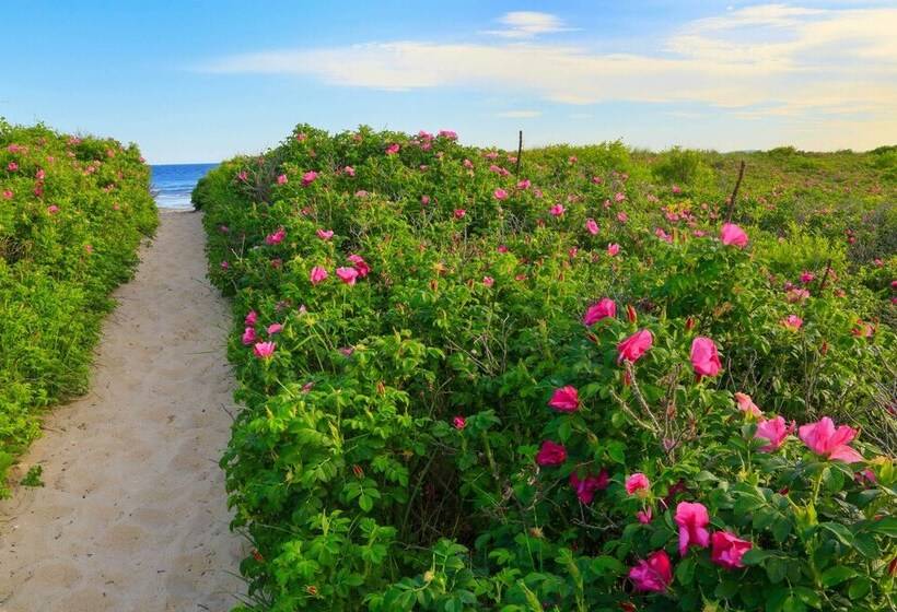 Charming Jacuzzi Suite   Walk To Parson S Beach!