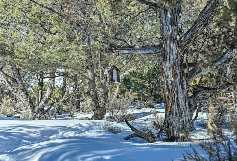 Eagles Landing A Quiet Colorado Mountain Escape