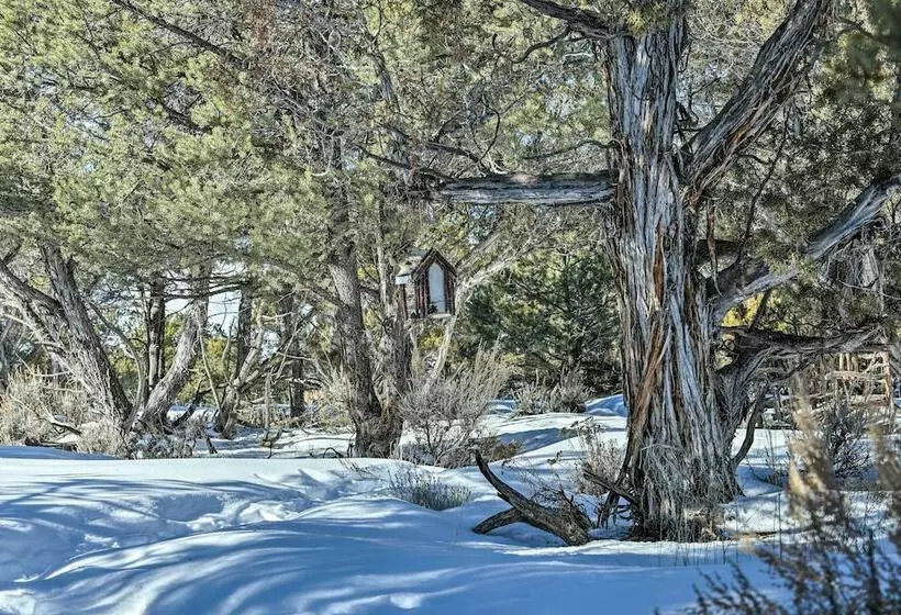 Eagles Landing  A Quiet Colorado Mountain Escape