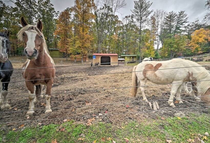 Rustic  Clint Eastwood  Ranch Apt By Raystown Lake
