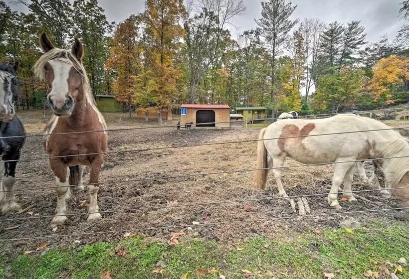 Rustic  Clint Eastwood  Ranch Apt By Raystown Lake