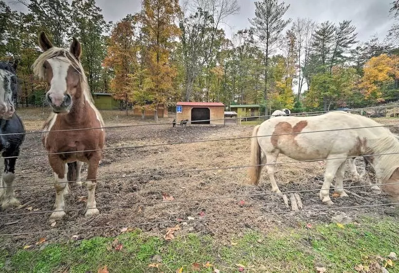 Rustic  Clint Eastwood  Ranch Apt By Raystown Lake