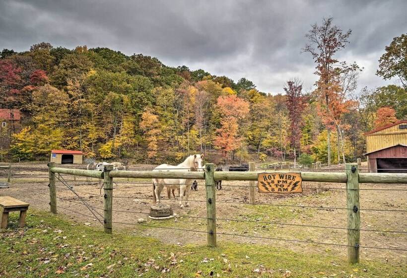 Rustic  Clint Eastwood  Ranch Apt By Raystown Lake