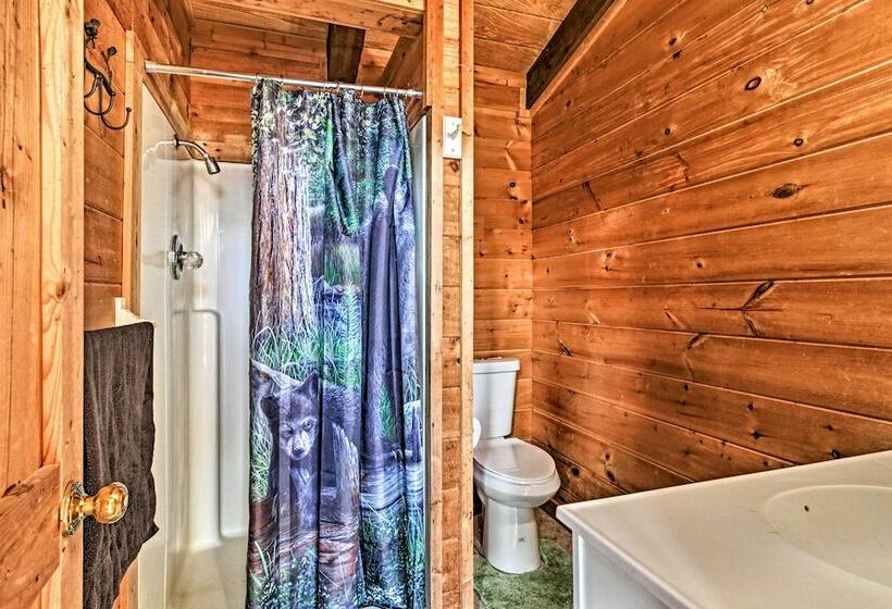 Home In The Smokies W/game Room: <6mi To Dollywood