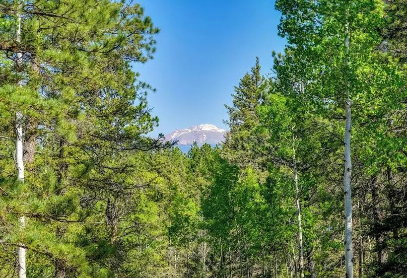 Sunny Forest Cabin W/ Views Of Pikes Peak Mtn!