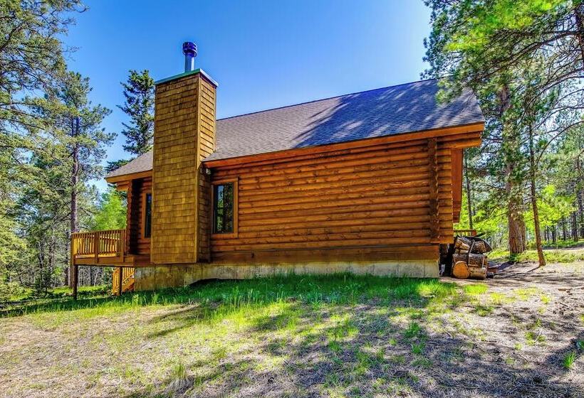 Sunny Forest Cabin W/ Views Of Pikes Peak Mtn!