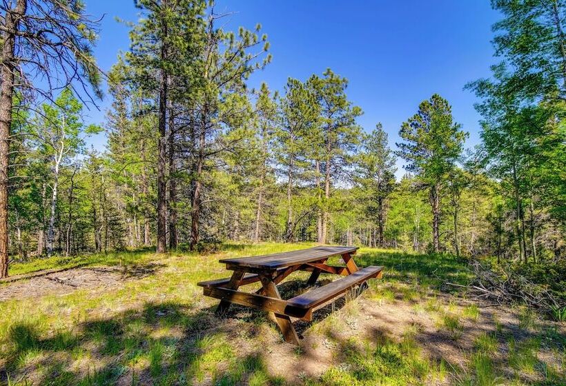 Sunny Forest Cabin W/ Views Of Pikes Peak Mtn!