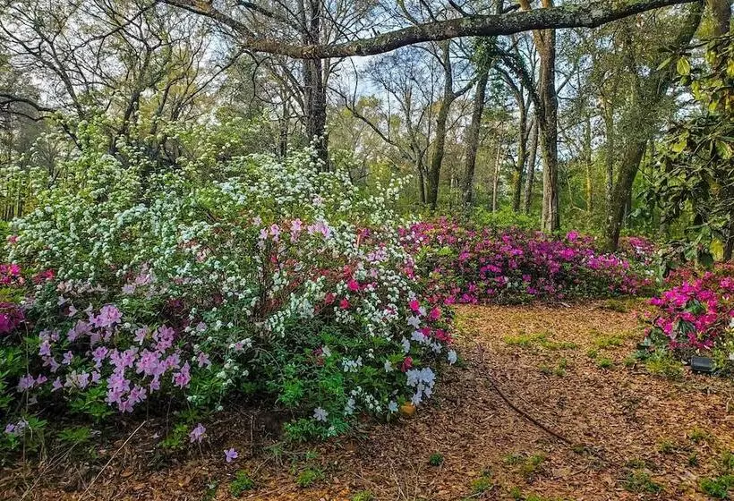 Bonifay Estate With Spring Fed Swimming Hole!