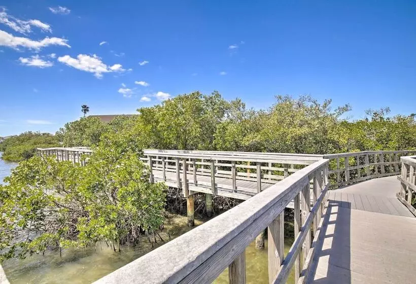 Indian Rocks Beach Oasis   2 Blocks To Beach!