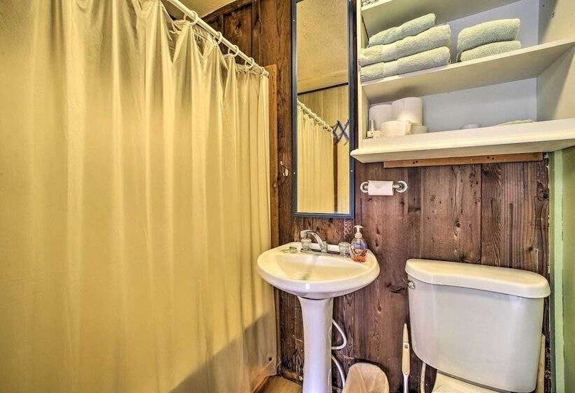 Pine Lodge Cabin  On 450 Acres In Ozark Mountains