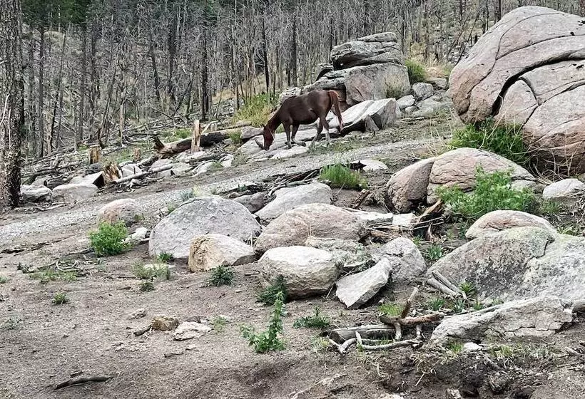14 Mi To Ski Apache: Mountaintop Cabin W/ View