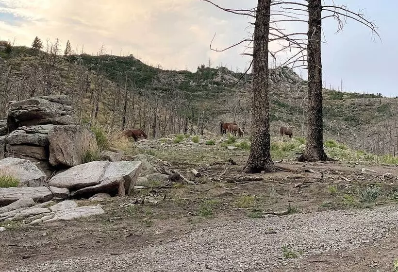 14 Mi To Ski Apache: Mountaintop Cabin W/ View