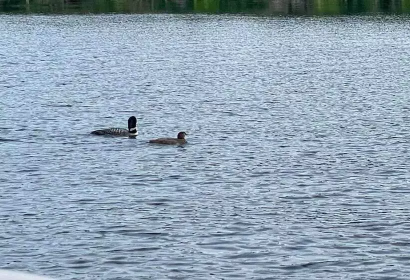 Raymond Retreat W/ 200 Feet Of Private Beach!