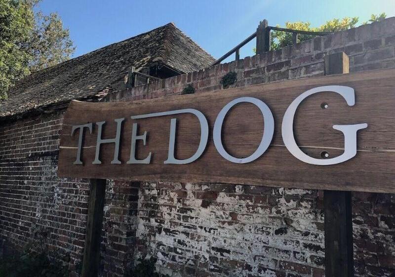 Hostel The Dog At Wingham