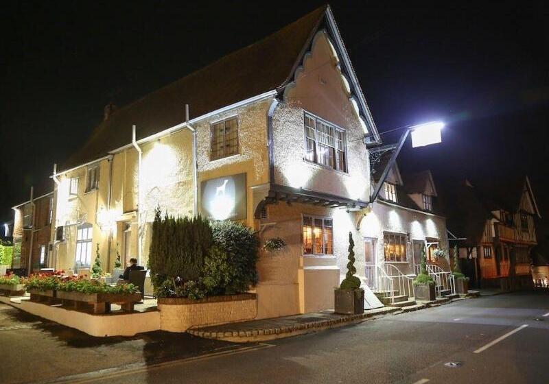 Hostel The Dog At Wingham