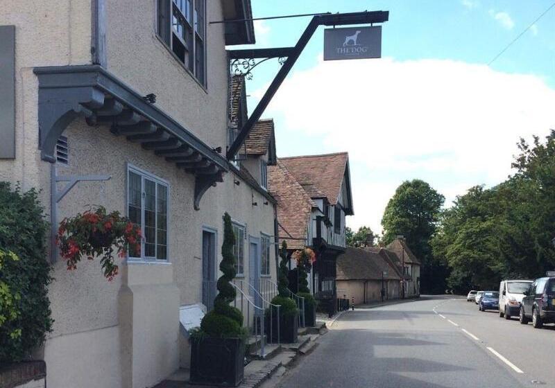 Hostel The Dog At Wingham