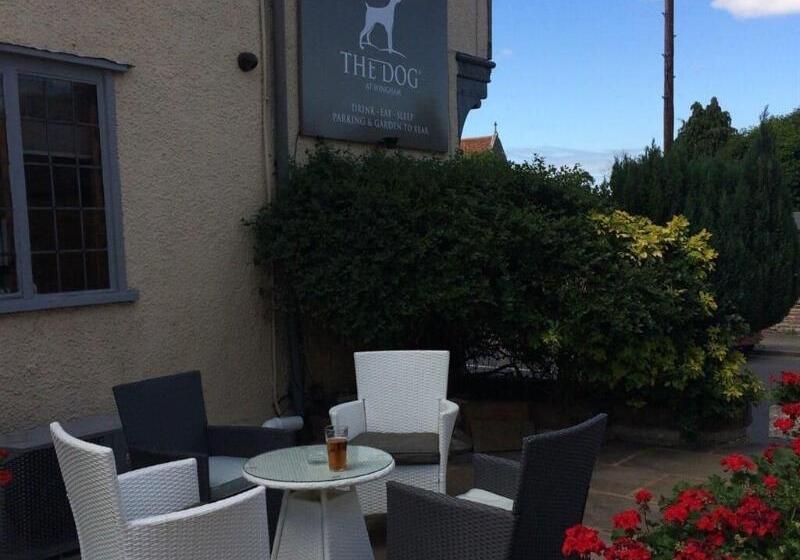 Hostel The Dog At Wingham