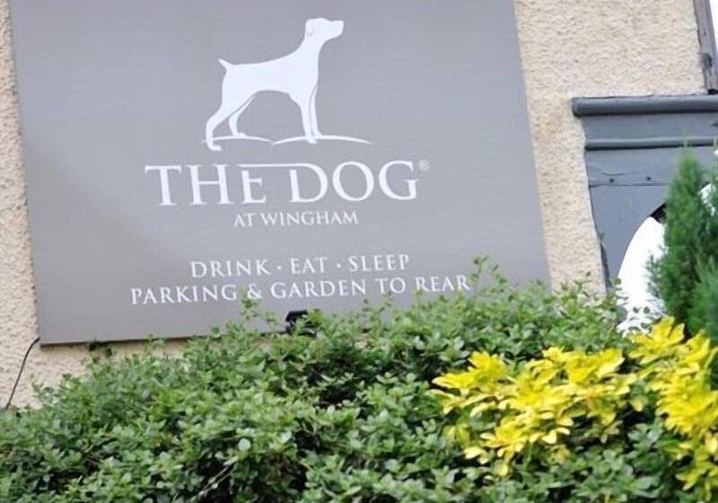 Hostel The Dog At Wingham