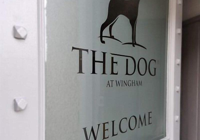 Hostel The Dog At Wingham
