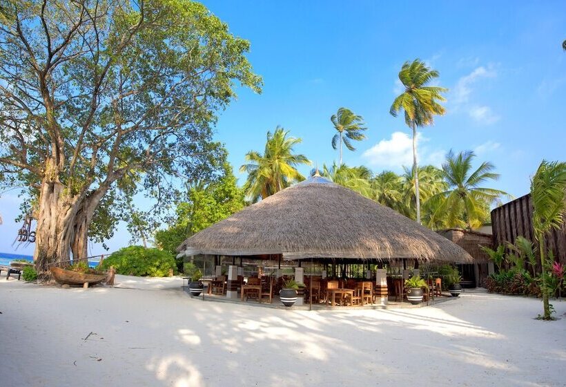 هتل Aaaveee Nature's Paradise