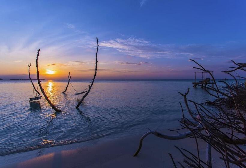 هتل Aaaveee Nature's Paradise