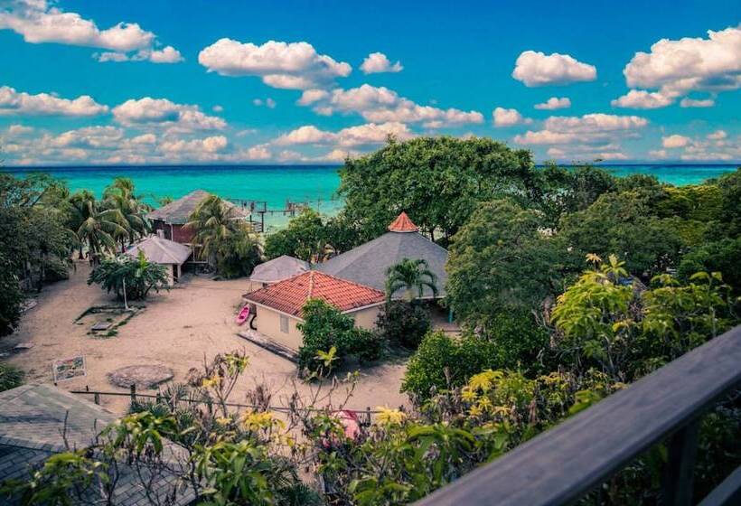 هتل Fosters West Bay Resort