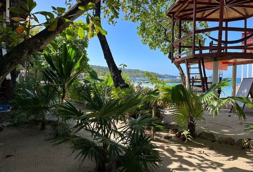 هتل Fosters West Bay Resort