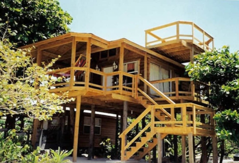 هتل Fosters West Bay Resort