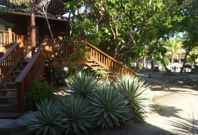 هتل Fosters West Bay Resort