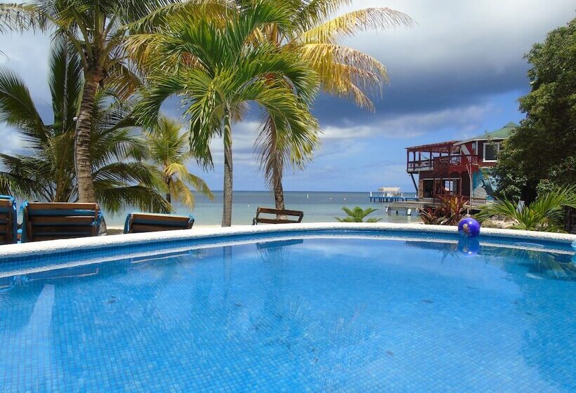 هتل Fosters West Bay Resort