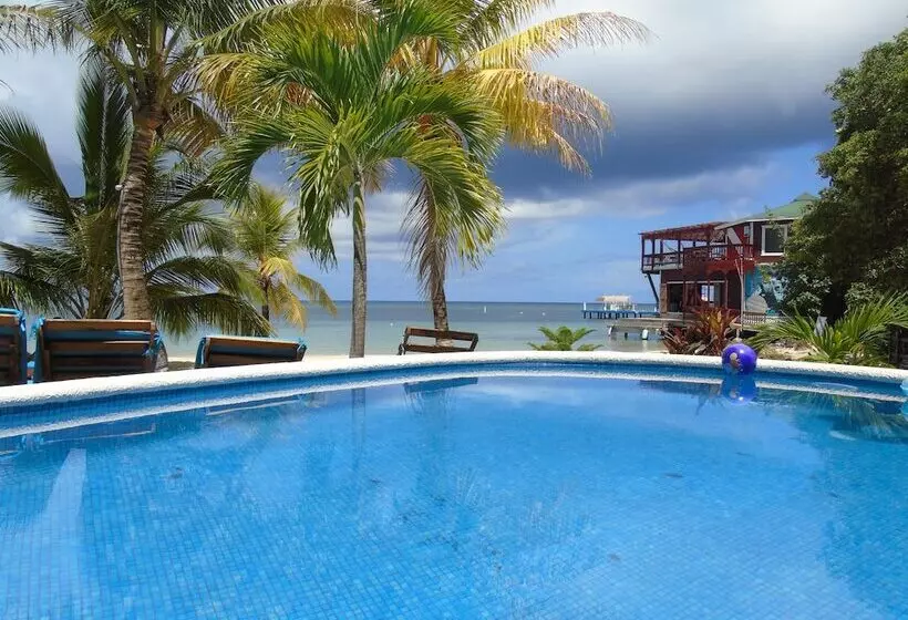 هتل Fosters West Bay Resort