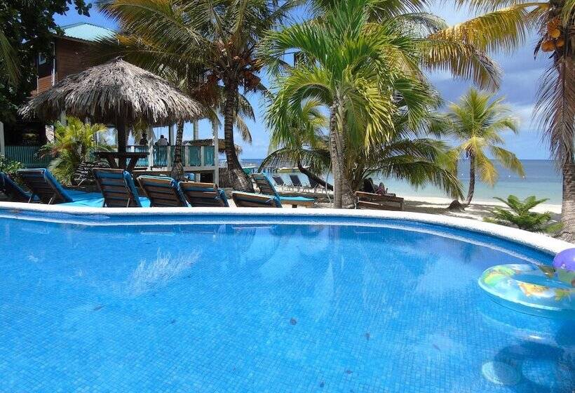 هتل Fosters West Bay Resort