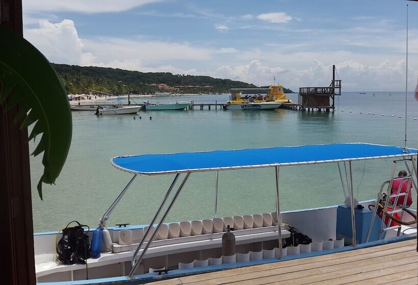 هتل Fosters West Bay Resort