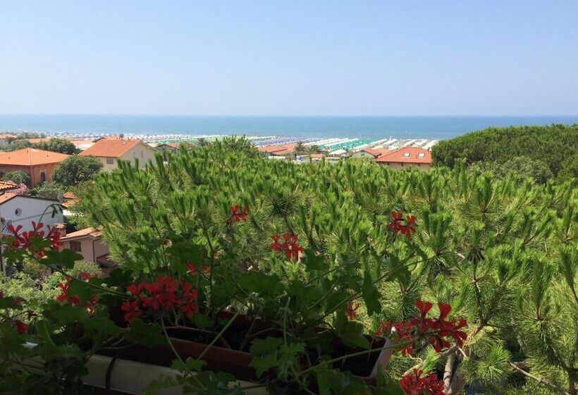 ホテル Il Caravaggio