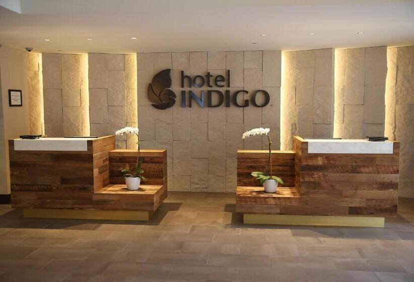 ホテル Indigo Naperville Riverwalk, An Ihg