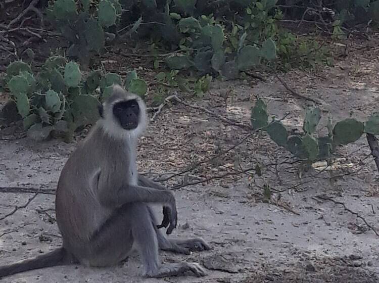 Отель Muthu Resort