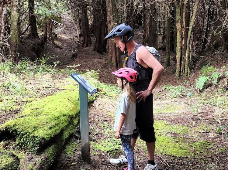 בית מלון כפרי Plateau Lodge