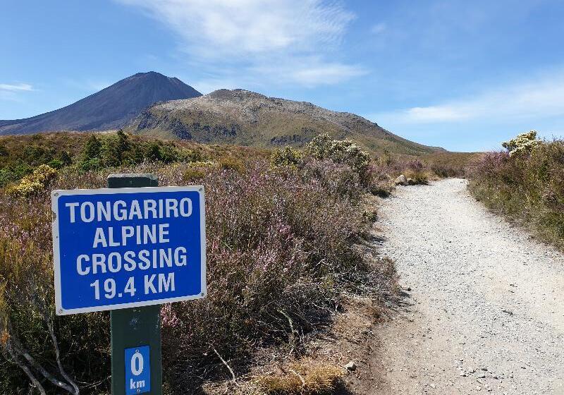 בית מלון כפרי Plateau Lodge