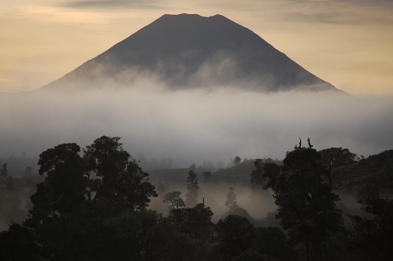 בית מלון כפרי Plateau Lodge