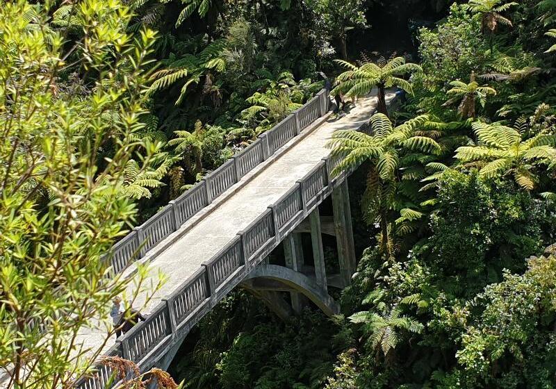 בית מלון כפרי Plateau Lodge