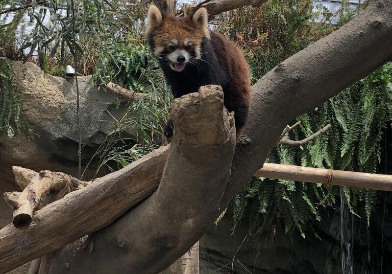 Smile Hotel Kobe Motomachi