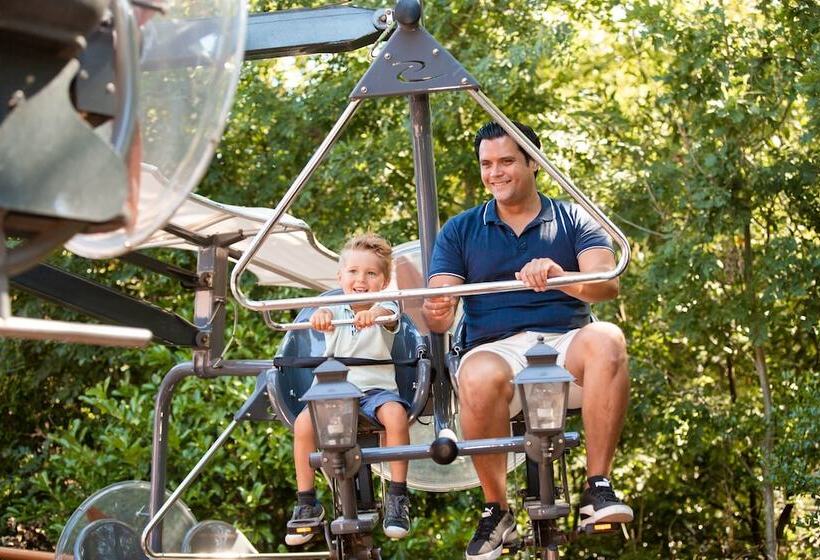 בית מלון כפרי Vakantiepark Slagharen