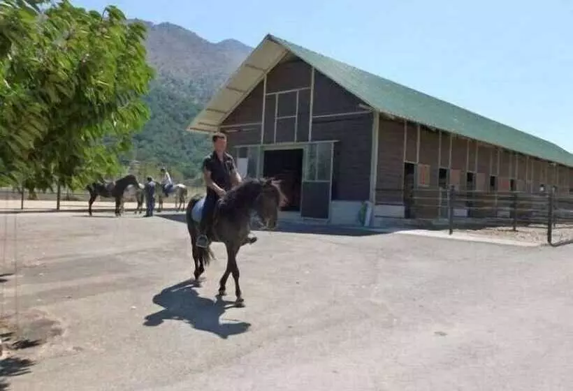 Lefkoritis Resort