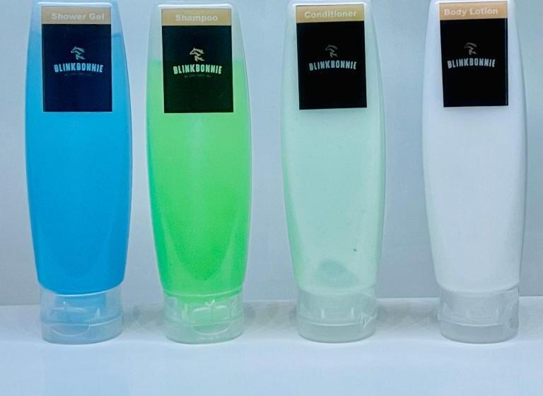 Pension Blinkbonnie Inn