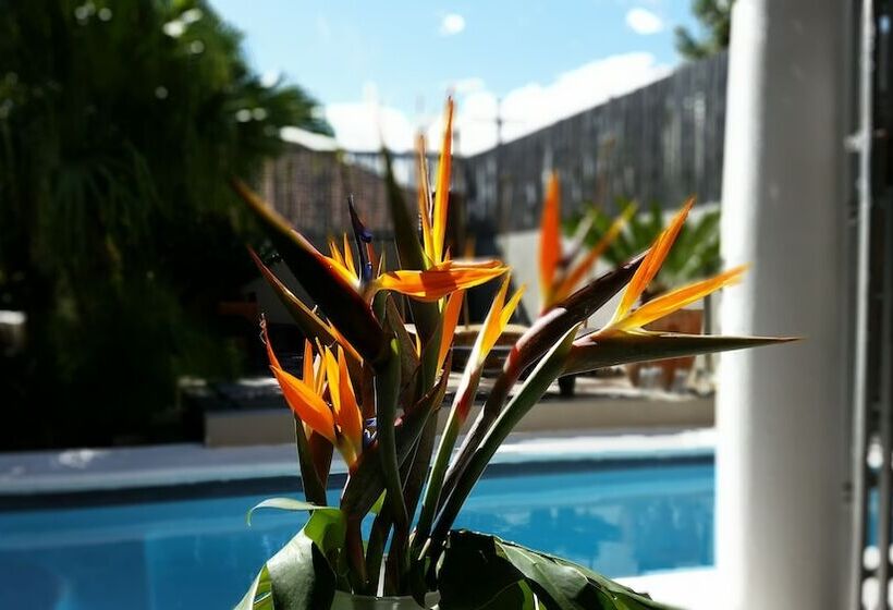 膳宿费 Jardin D Ebene Boutique Guesthouse