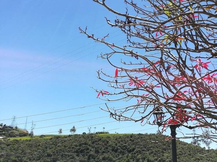 פנסיון Lakeside Cottages